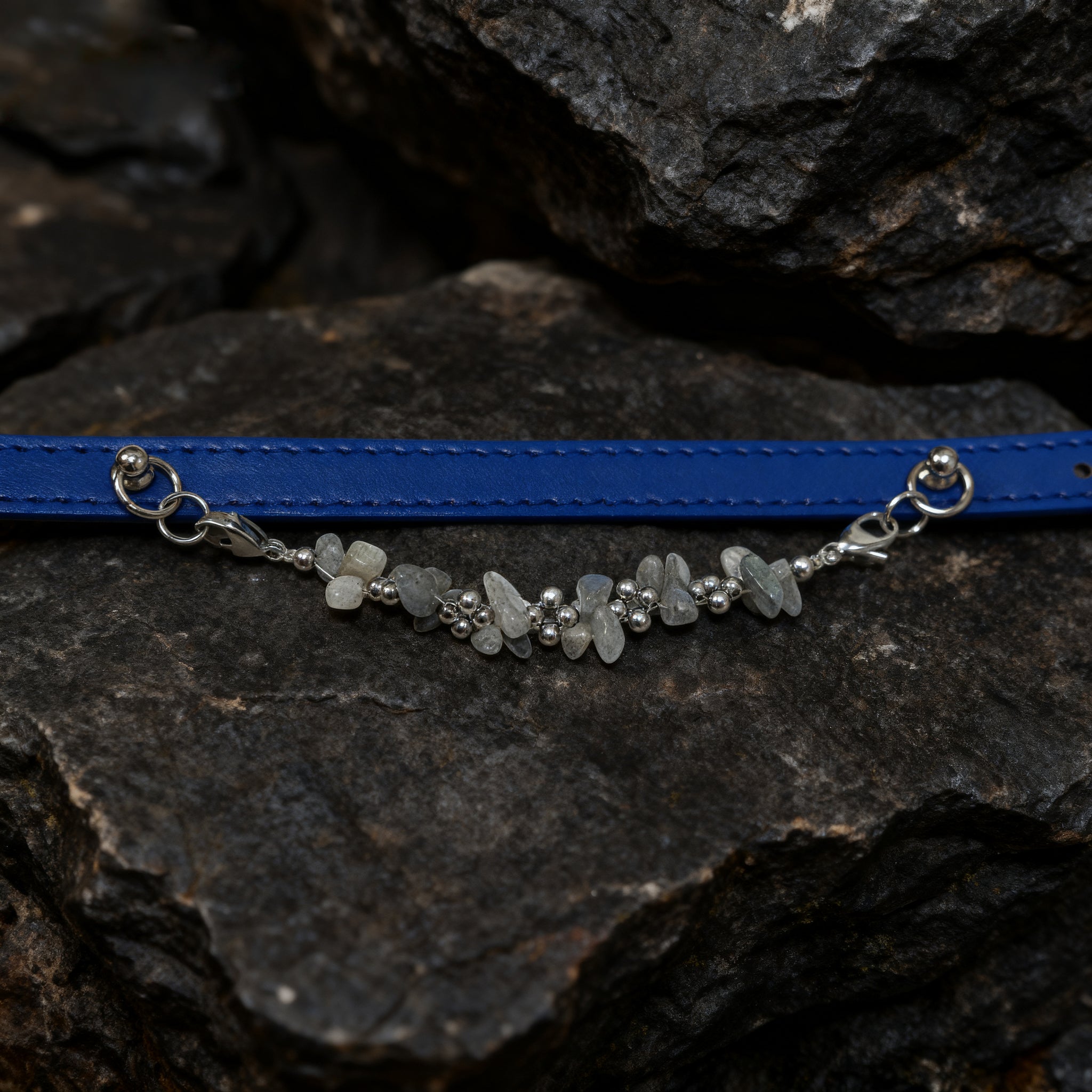 🐾 Dream guardian | moonstone pet collar, the quiet moonlight is tied to the neck, protect the sleep 🐾
