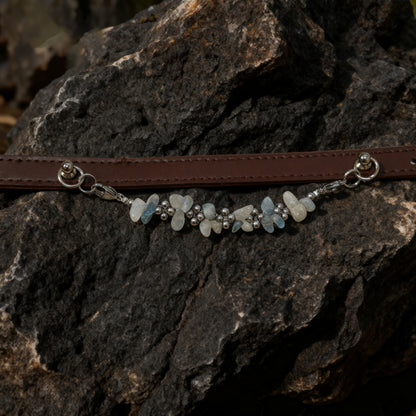 🐾 Dream guardian | moonstone pet collar, the quiet moonlight is tied to the neck, protect the sleep 🐾