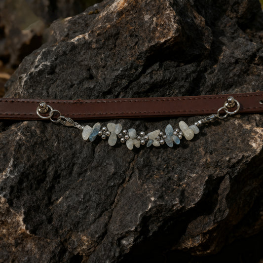 🐾 Dream guardian | moonstone pet collar, the quiet moonlight is tied to the neck, protect the sleep 🐾