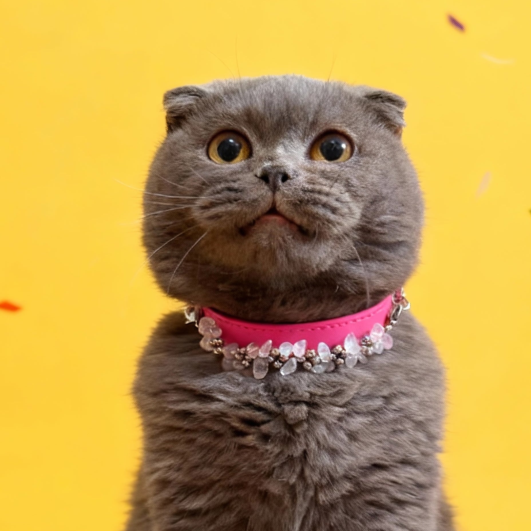 Natural powder crystal adjustment button pet collar - protect the gentle ties between you and your pet