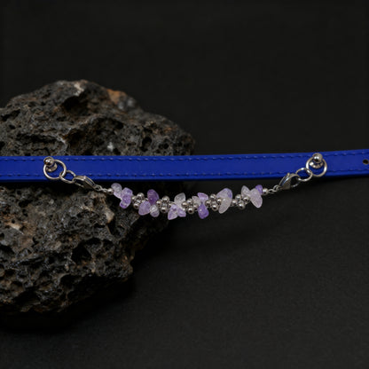 Natural amethyse-adjusted pet collars - Give the furry child a peaceful and peaceful hug