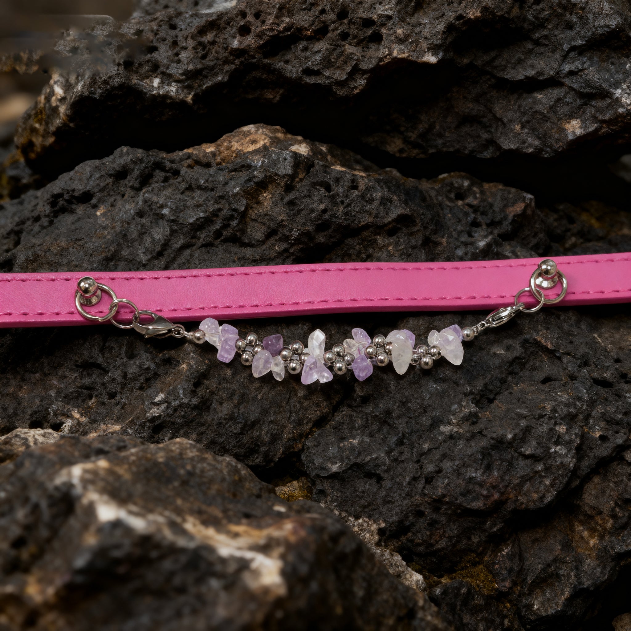 Natural amethyse-adjusted pet collars - Give the furry child a peaceful and peaceful hug