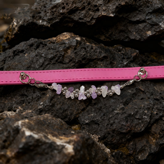 Natural amethyse-adjusted pet collars - Give the furry child a peaceful and peaceful hug