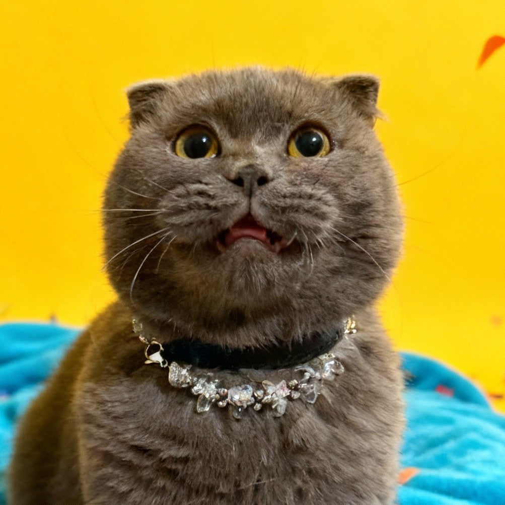 🐾 Pure Guardian | White crystal pet collar, return to the pure original heart of love and companishment 🐾