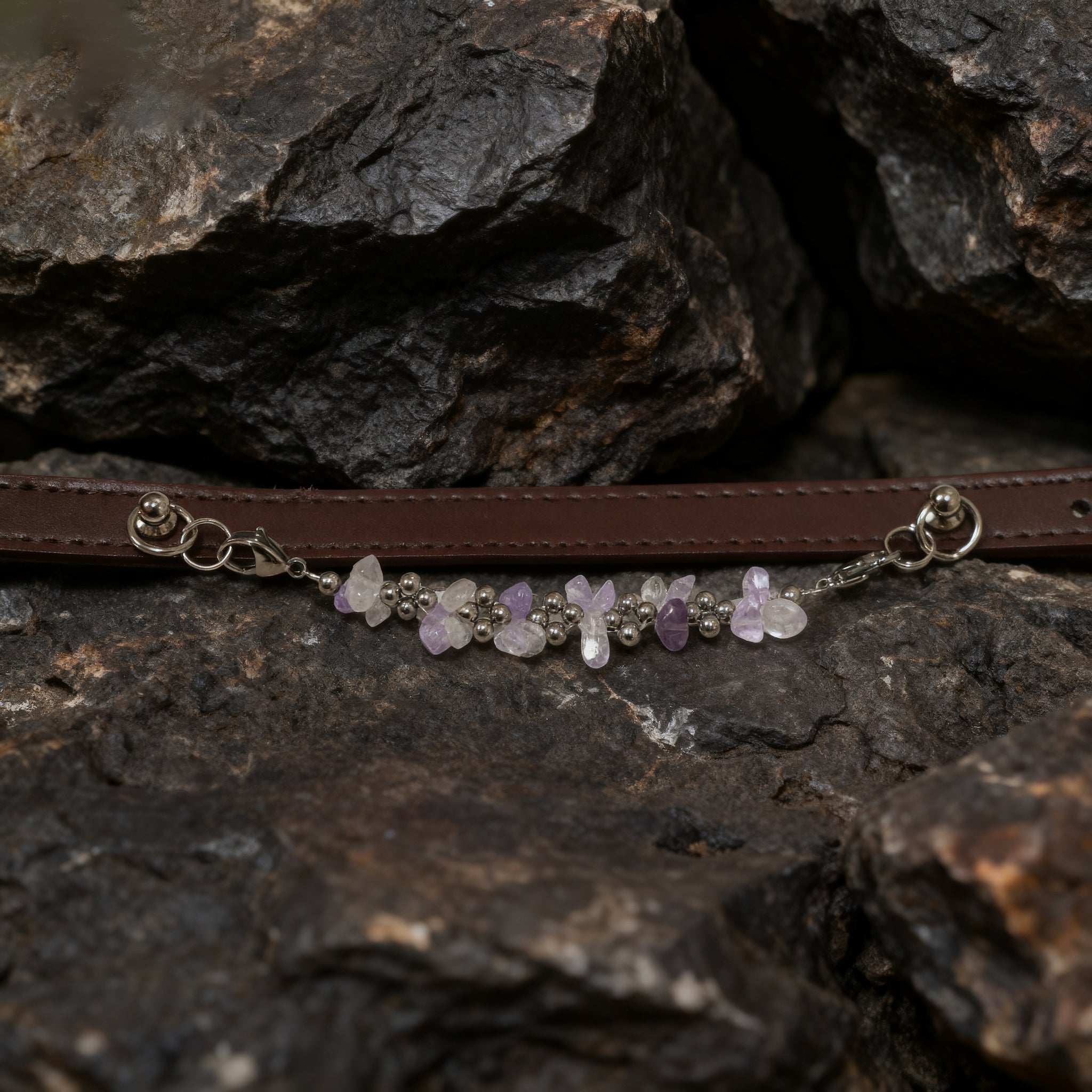 Natural amethyse-adjusted pet collars - Give the furry child a peaceful and peaceful hug