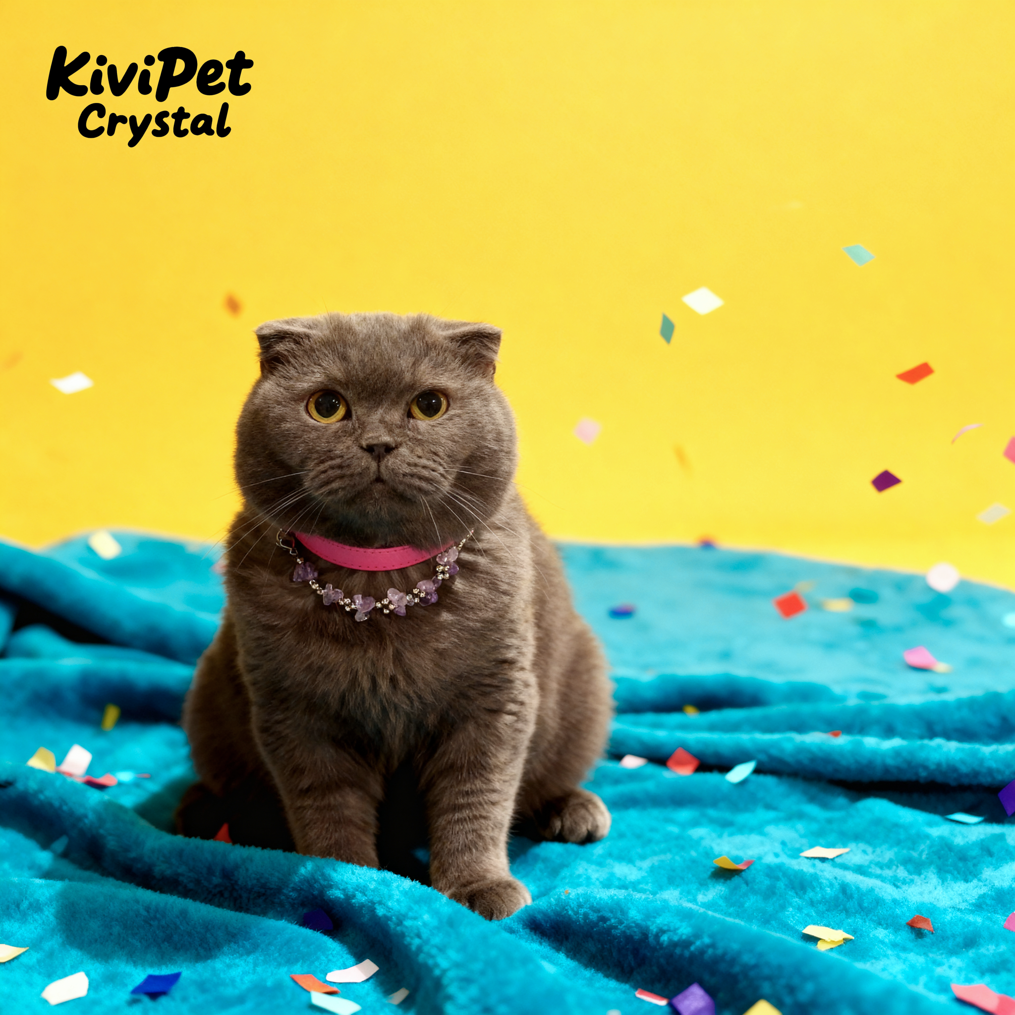 Natural amethyse-adjusted pet collars - Give the furry child a peaceful and peaceful hug